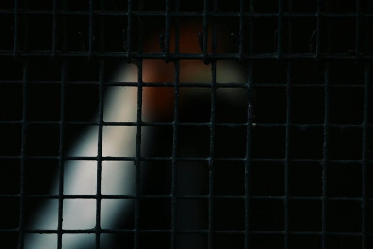 Featured image: abstract grid texture representing a generative design style library